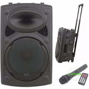 HAUT PARLEUR JIEPAK JP-A15