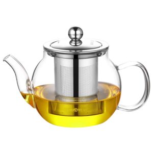 Théière en verre pour infusion 600ML